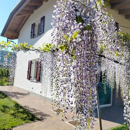 Agritur Lavanda Nave San Rocco Ngoại thất bức ảnh