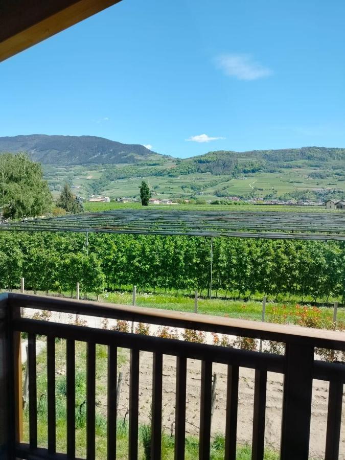 Agritur Lavanda Nave San Rocco Ngoại thất bức ảnh