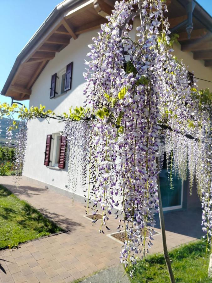 Agritur Lavanda Nave San Rocco Ngoại thất bức ảnh