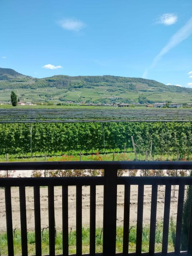 Agritur Lavanda Nave San Rocco Ngoại thất bức ảnh